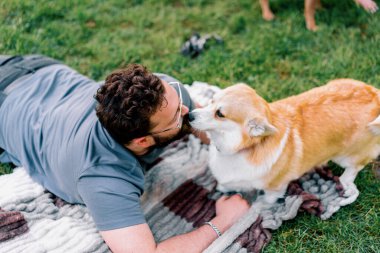 Sakallı adam evcil Corgi köpeği ile parkta dinleniyor ve sahibinin yaz pikniğini yalıyor.