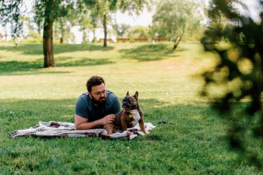 Sakallı bir adam köpeğiyle parkta dinleniyor. Fransız bulldog 'u dışarıda, çarşaf üzerinde piknikte yatıyor.