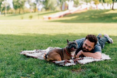 Sakallı bir adam köpeğiyle parkta dinleniyor. Fransız bulldog 'u dışarıda, çarşaf üzerinde piknikte yatıyor.