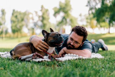 Sakallı bir adam köpeğiyle parkta dinleniyor. Fransız bulldog 'u dışarıda, çarşaf üzerinde piknikte yatıyor.