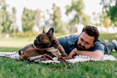 Sakallı bir adam köpeğiyle parkta dinleniyor. Fransız bulldog 'u dışarıda, çarşaf üzerinde piknikte yatıyor.