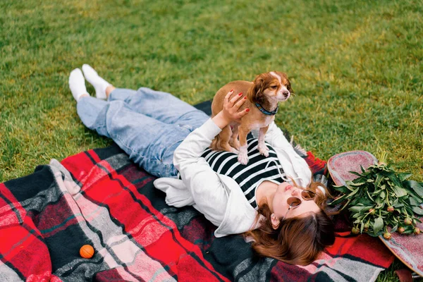 Little Funny Cute Dog Owner Walk Park Girl Raises Her — Stock Photo, Image