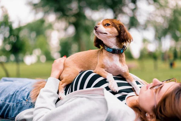 Liten Rolig Söt Hund Med Ägare Promenad Parken Flicka Husdjur — Stockfoto