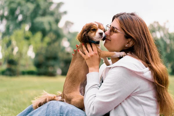 Liten Rolig Söt Hund Med Ägare Promenad Parken Flicka Kysser — Stockfoto
