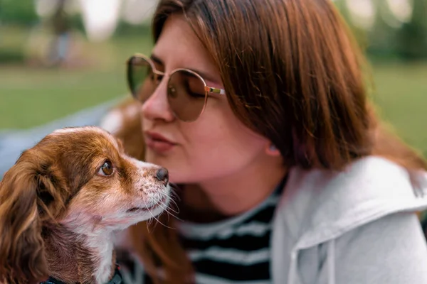 Liten Rolig Söt Hund Med Ägare Promenad Parken Flicka Kysser — Stockfoto