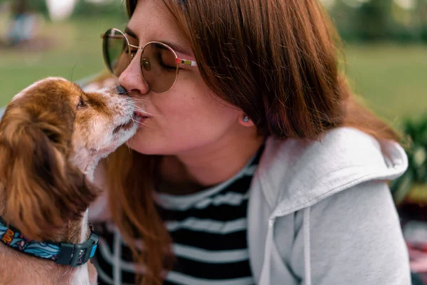 Kis Vicces Aranyos Kutya Tulajdonos Egy Séta Parkban Lány Megcsókolja — Stock Fotó