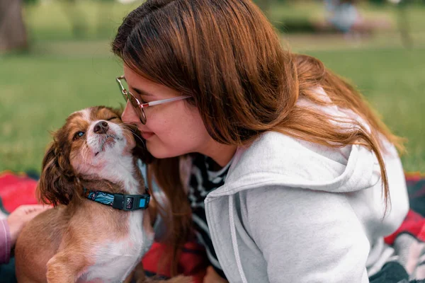 Small Funny Cute Dog Owner Walk Park Girl Kisses Nose — Stock Photo, Image