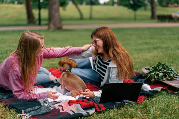 Two Lesbian Girlfriends Resting Park Small Cute Dog Laptop Family — Stock Photo, Image