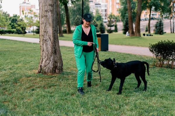 Eine Frau Trainiert Einen Schwarzen Hund Der Rasse Cane Corso — Stockfoto