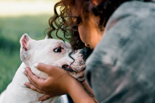 Vacker Vit Hund Pitbull Rasen Staffordshire Terrier Promenad Parken Ägaren — Stockfoto