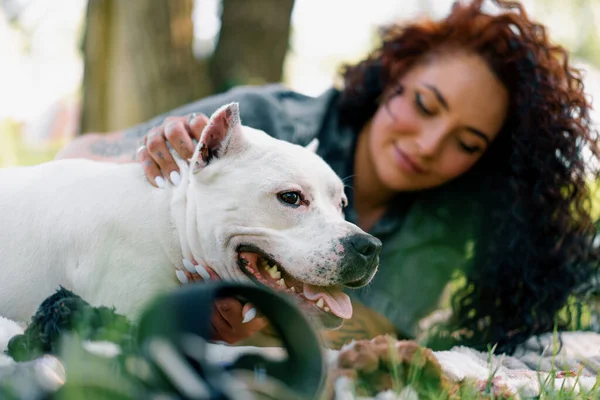 Vacker Vit Hund Pitbull Ras Staffordshire Terrier Promenad Parken Med — Stockfoto
