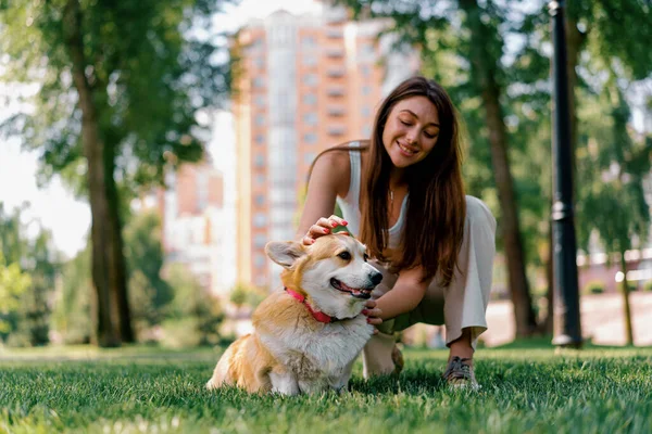 Egy Fiatal Lány Egy Zoopszichológus Megnyugtat Egy Corgi Kutyát Parkban — Stock Fotó