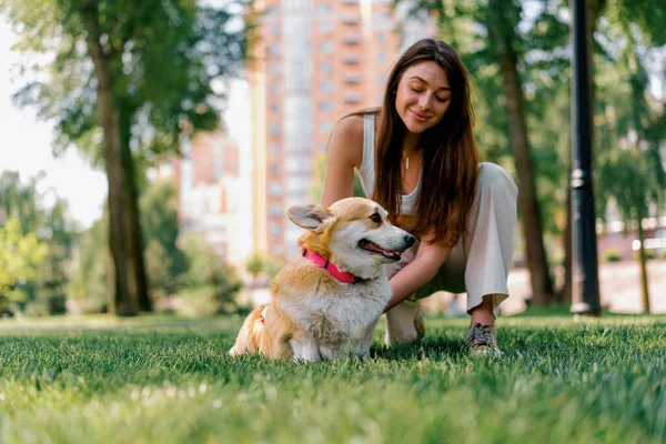 Egy Fiatal Lány Egy Zoopszichológus Megnyugtat Egy Corgi Kutyát Parkban — Stock Fotó