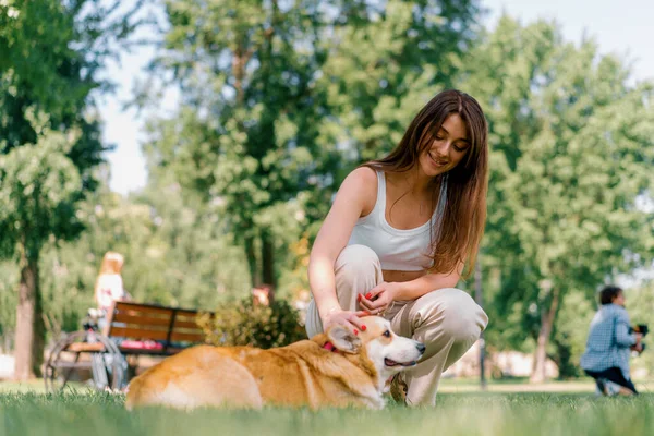 Молодая Девушка Зоопсихолог Успокаивает Собаку Корги Парке Собака Сидит Рядом — стоковое фото