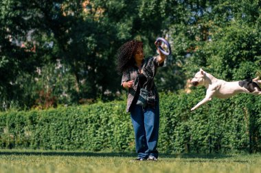 Genç bir kıvırcık kız parkta büyük bir pitbull cinsinden beyaz bir köpekle oynuyor. Köpeğin havada atladığı bir oyuncağı alıyor.