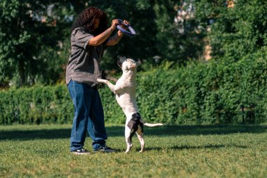 Genç bir kıvırcık kız parkta büyük bir pitbull cinsinden beyaz bir köpekle oynuyor. Köpeğin havada atladığı bir oyuncağı alıyor.