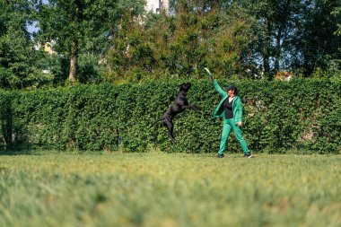 Bir kadın, büyük bir kamış kamışlı siyah bir köpekle oynuyorsa parkta ürer köpek bir oyuncak kapar köpek de arkasından havada atlar.