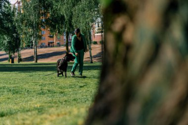İtaatkar bir köpek, büyük bir değnek soyundan, antrenman parkında yürüyüş yaparken eğitmenine emirler yağdırır.