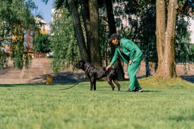 Bir köpek psikoloğu parkta yürürken büyük siyah bir Cane Corso köpeğinin yanında duruyor ve köpeğe övgüler yağdırıyor.
