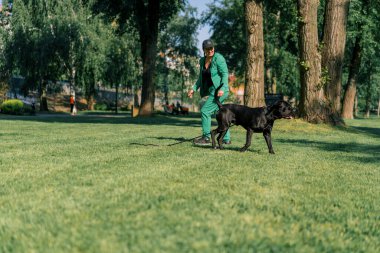 İtaatkar bir köpek, büyük bir değnek soyundan, antrenman parkında yürüyüş yaparken eğitmenine emirler yağdırır.