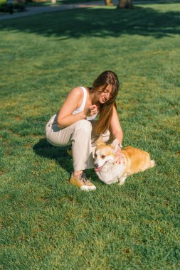 Bir köpek psikoloğu parkta şirin bir Corgi 'yi sakinleştirir. Sahibi onu elleriyle okşar ve yazın yaptığı yürüyüşlerde onu över. Hayvanların doğası gereği.