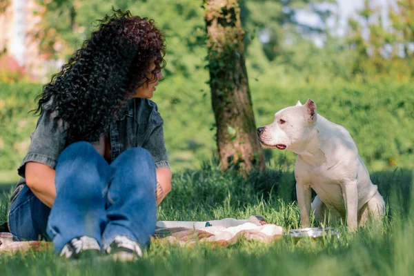 Vacker Vit Hund Pit Bull Ras Staffordshire Terrier Promenad Parken — Stockfoto