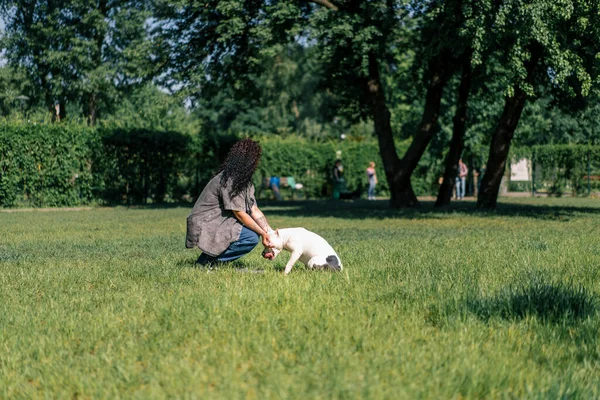 Ein Hundepsychologe Beruhigt Einen Großen Weißen Pitbull Hund Park Der — Stockfoto