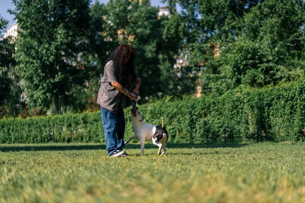 Ung Flicka Leker Med Vit Hund Stor Grop Tjur Ras — Stockfoto