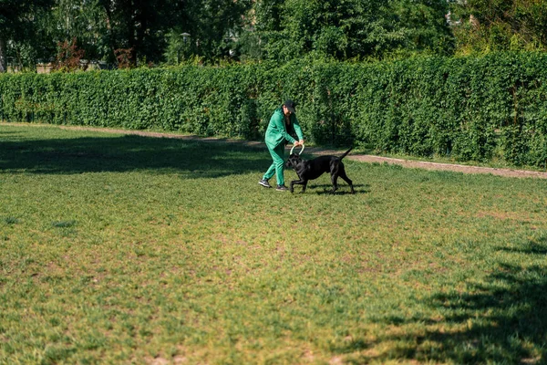 Eine Frau Spielt Bei Einem Spaziergang Park Mit Einem Schwarzen — Stockfoto