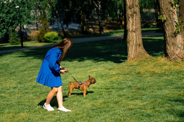 Красивая Девушка Прогулке Французским Бульдогом Парке Играет Милой Маленькой Собачкой — стоковое фото