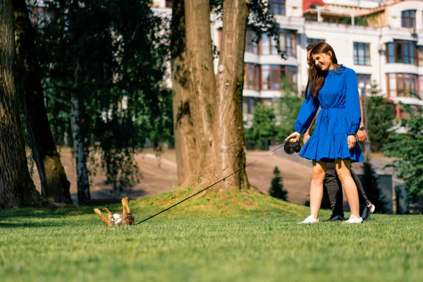 Vacker Flicka Promenad Med Fransk Bulldogg Parken Leker Med Söt — Stockfoto