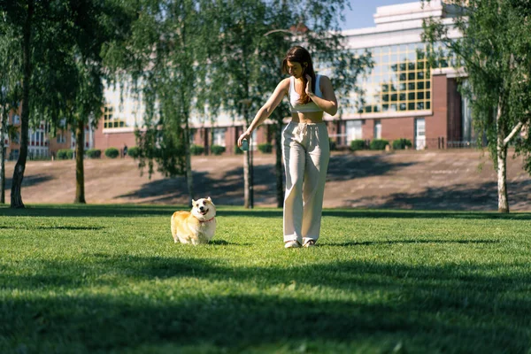 Молодая Девушка Дрессирует Симпатичную Собаку Корги Парке Хозяин Бегает Ней — стоковое фото