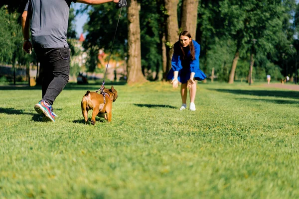 Familj Par Promenad Med Fransk Bulldog Parken Ägarna Leker Med — Stockfoto