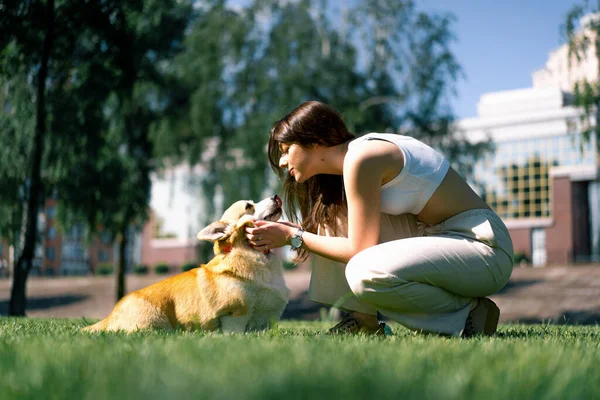 Portrait Young Girl Cute Corgi Dog Owner Kisses Dog Nose — Stock Photo, Image