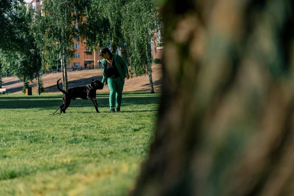 Posłuszny Pies Dużej Rasy Trzcinowego Corso Spacerze Parku Treningowym Ćwiczy — Zdjęcie stockowe