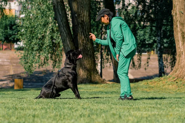 Eine Frau Trainiert Einen Schwarzen Hund Der Rasse Cane Corso — Stockfoto