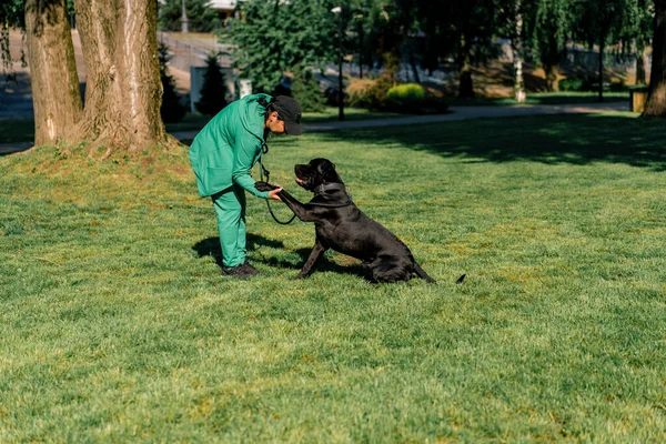 Kobieta Trenuje Czarnego Psa Dużej Rasy Cane Corso Spacerze Parku — Zdjęcie stockowe