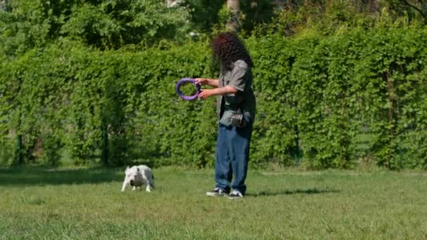 在公园里 一个小女孩和一只大斗牛犬的白狗玩耍 它带着一个玩具 狗在后面追着它 用它的牙齿拉着玩具 — 图库视频影像