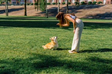 Genç bir kız parkta bir corgi köpeği eğitir köpek sahibine oturmasını emreder ve onu över hayvan doğada yürür.