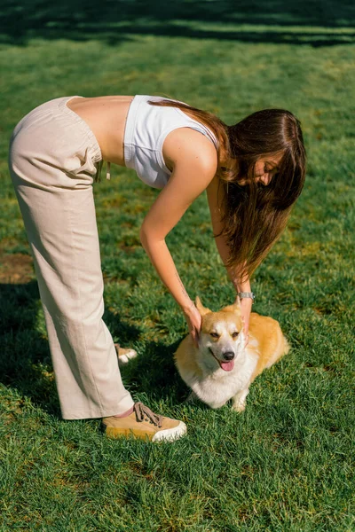 Girl Trains Cute Corgi Dog Park Owner Strokes Her His — стоковое фото