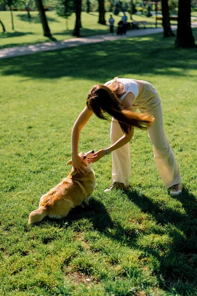 Ein Mädchen Trainiert Einen Niedlichen Corgi Hund Park Der Besitzer — Stockfoto