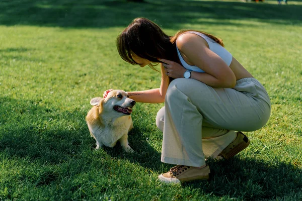 Young Girl Zoopsychologist Calms Corgi Dog Park Dog Sits Next — Stock Photo, Image