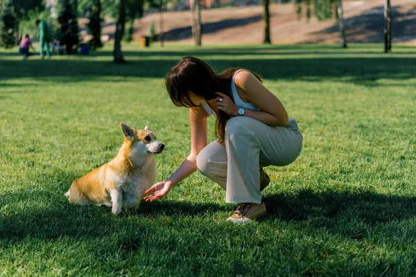 Young Girl Trains Corgi Dog Park Dog Obeys Master Command — Stock Photo, Image