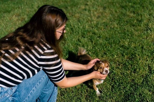 Симпатичная Маленькая Собачка Прогулке Хозяйка Гладит Собаку Парке — стоковое фото