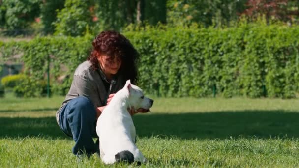 Pes Psycholog Zklidňuje Bílý Pes Velkého Pitbull Plemene Parku Mazlíček — Stock video
