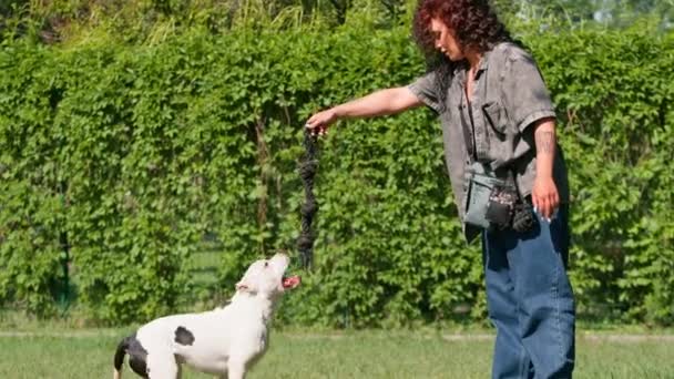 漂亮的卷曲姑娘 手里拿着绳子 正在训练一只白狗 她爱动物 — 图库视频影像