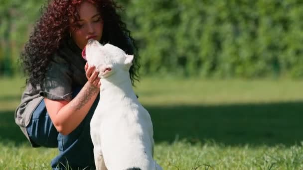 Психолог Собака Успокаивает Белую Собаку Большой Породы Питбуля Парке Домашнее — стоковое видео