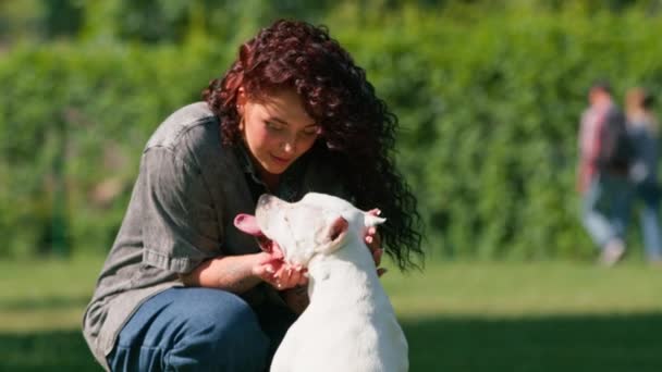 Психолог Собака Успокаивает Белую Собаку Большой Породы Питбуля Парке Домашнее — стоковое видео