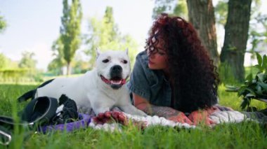 Güzel beyaz köpek pitbull staffordshire terrier parkta yürüyüş yaparken sahibinin onu yalarken dinlenmesi.