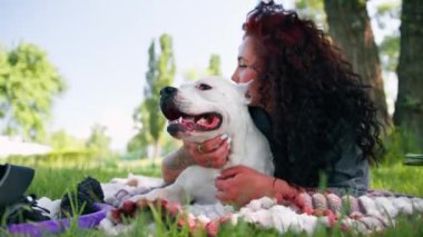 Güzel beyaz köpek pitbull staffordshire terrier parkta yürüyüş yaparken sahibinin onu yalarken dinlenmesi.